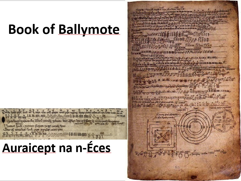 Book of Ballymote